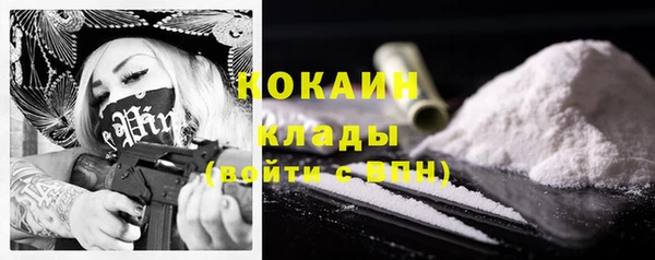 хмурый Абаза