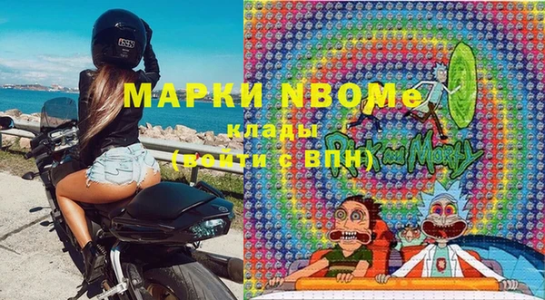 хмурый Абаза