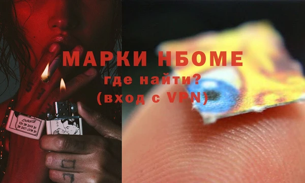 хмурый Абаза