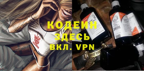 хмурый Абаза