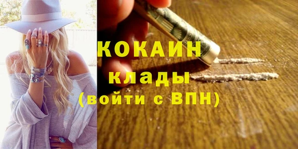 хмурый Абаза