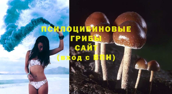 хмурый Абаза