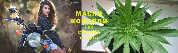 хмурый Абаза
