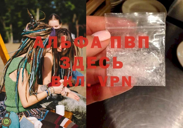 хмурый Абаза