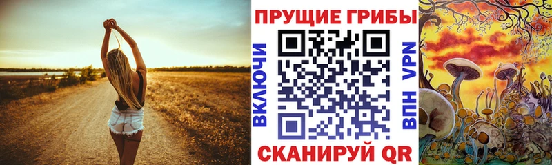 Галлюциногенные грибы MAGIC MUSHROOMS  Южа 