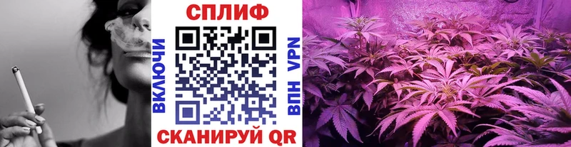 Конопля семена  Южа 
